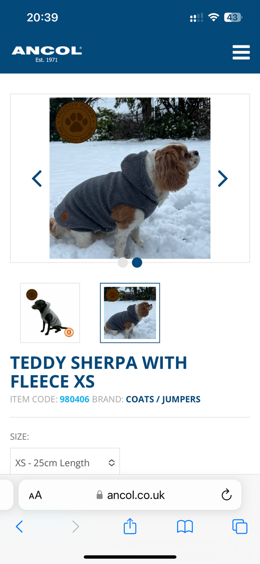 Teddy Sherpa Fleece Hoody XS